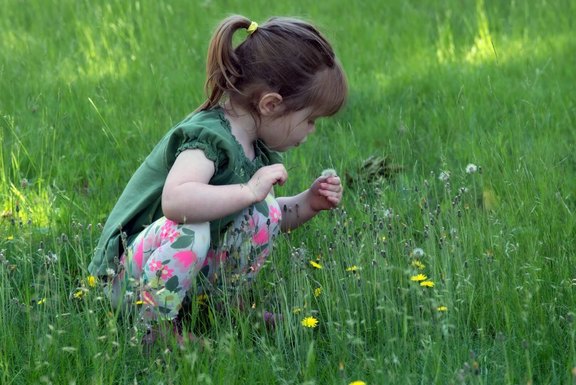 Ab 2 Jahren beginnt für viele Kinder eine besonders aufregende Zeit in Bezug auf ihre Sprachentwicklung